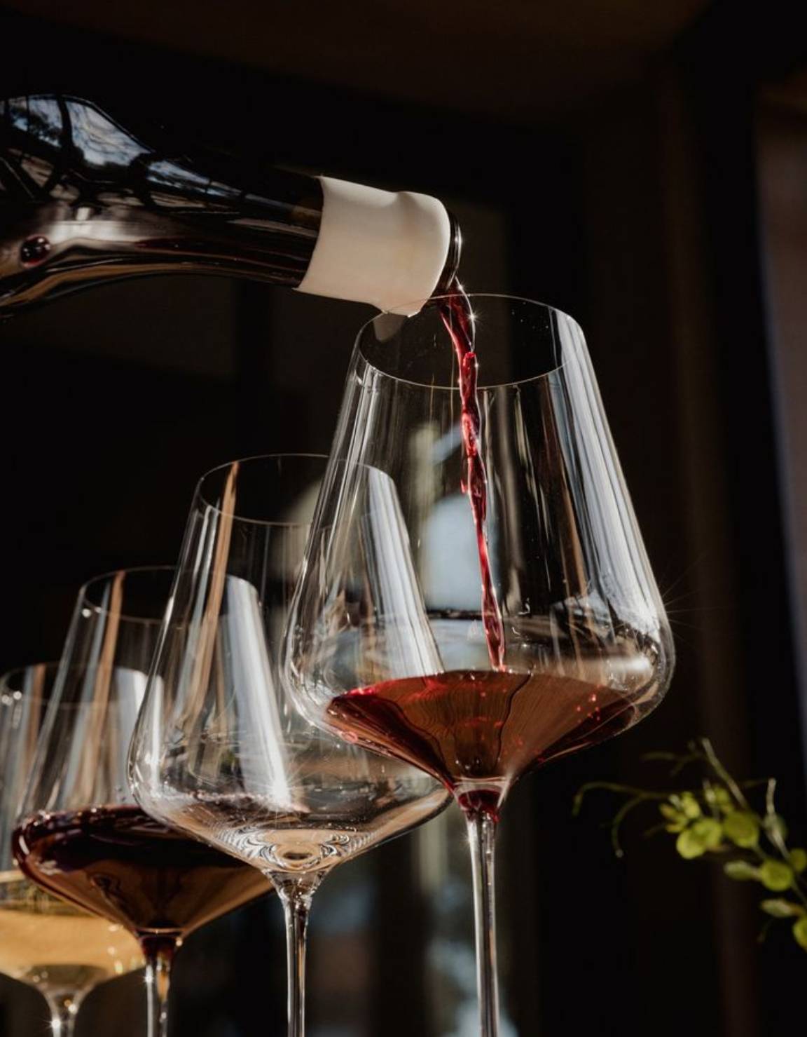 Wine Stems